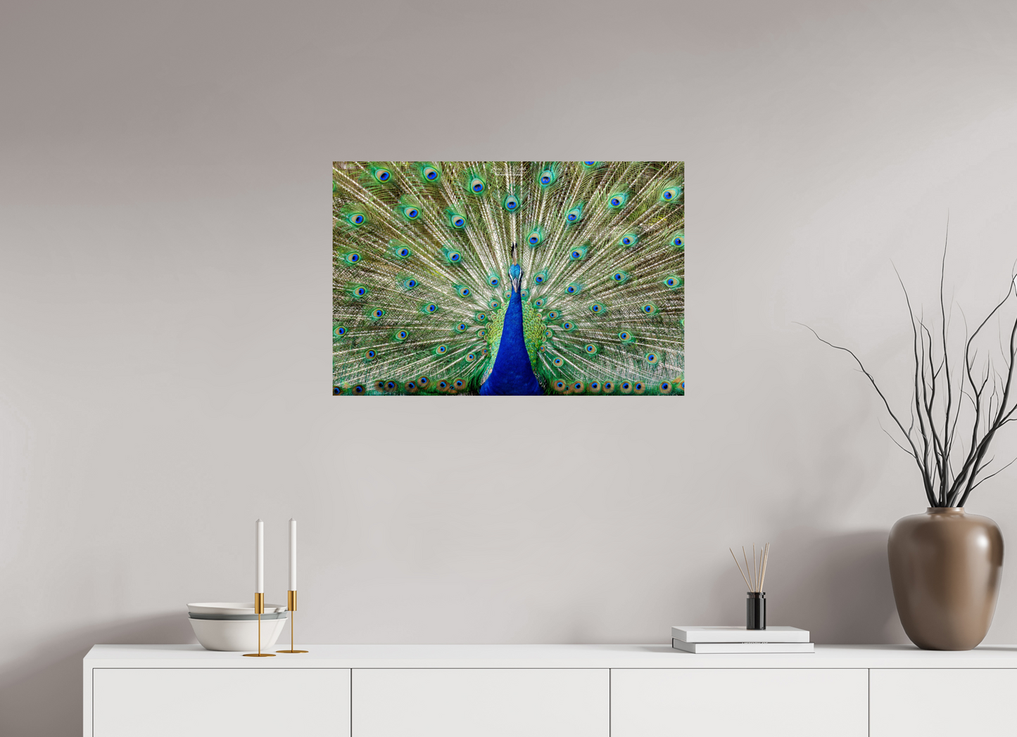 (08C) Peacock Display