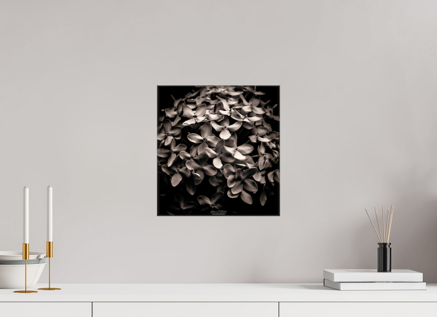 (07D) Monochrome Garden