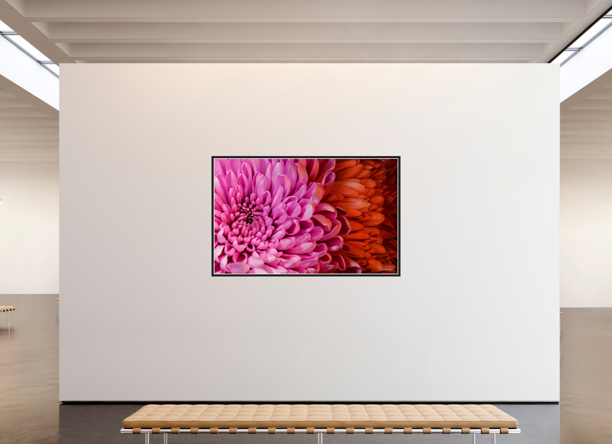 75.2 x 47″, Black Matte Floater Frame with Acrylic Glass ??