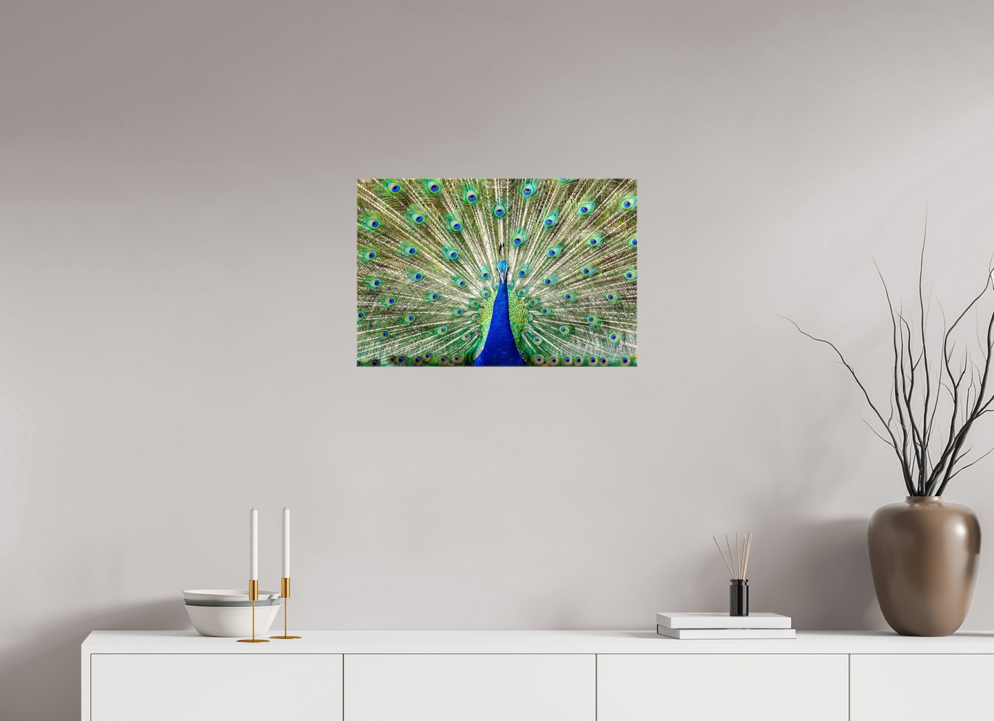 (08C) Peacock Display