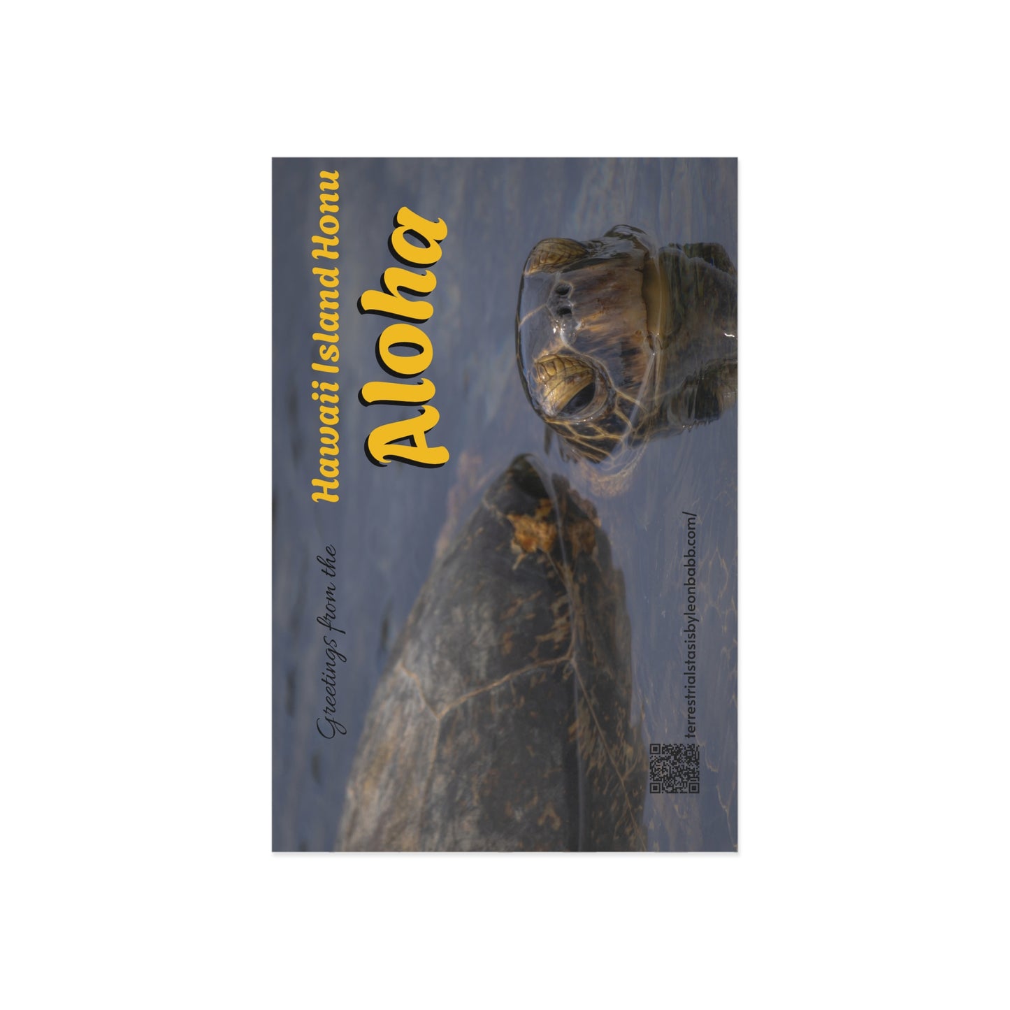 (01B) Postcard (1) - Hawaii Island Honu