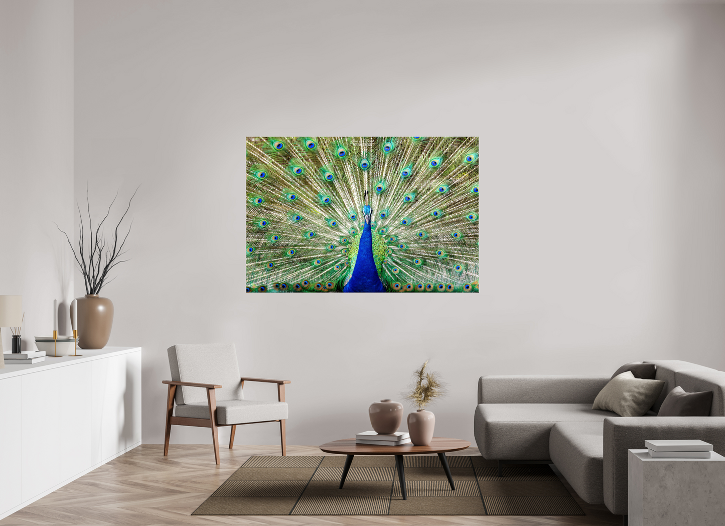 (08C) Peacock Display