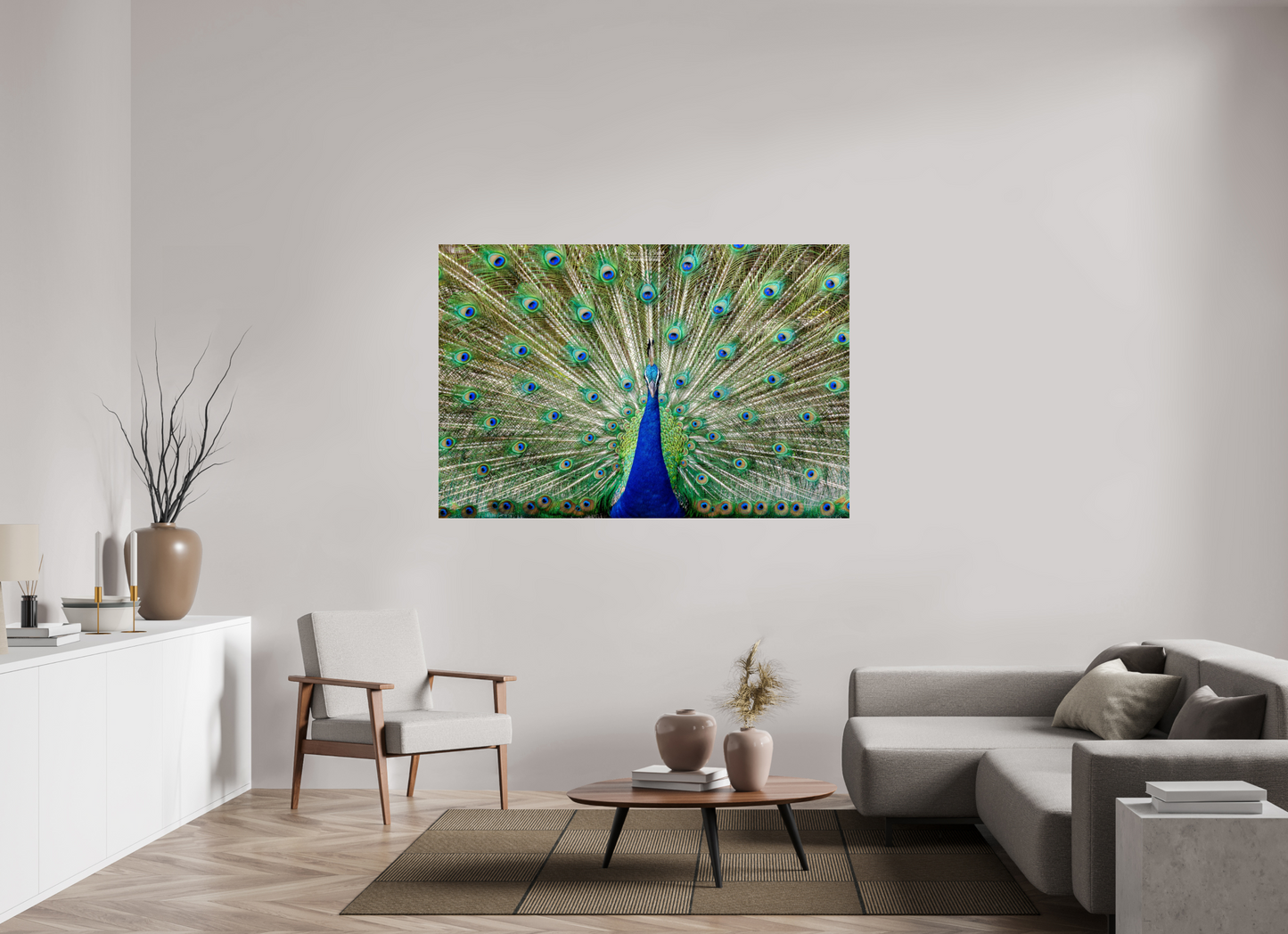 (08C) Peacock Display