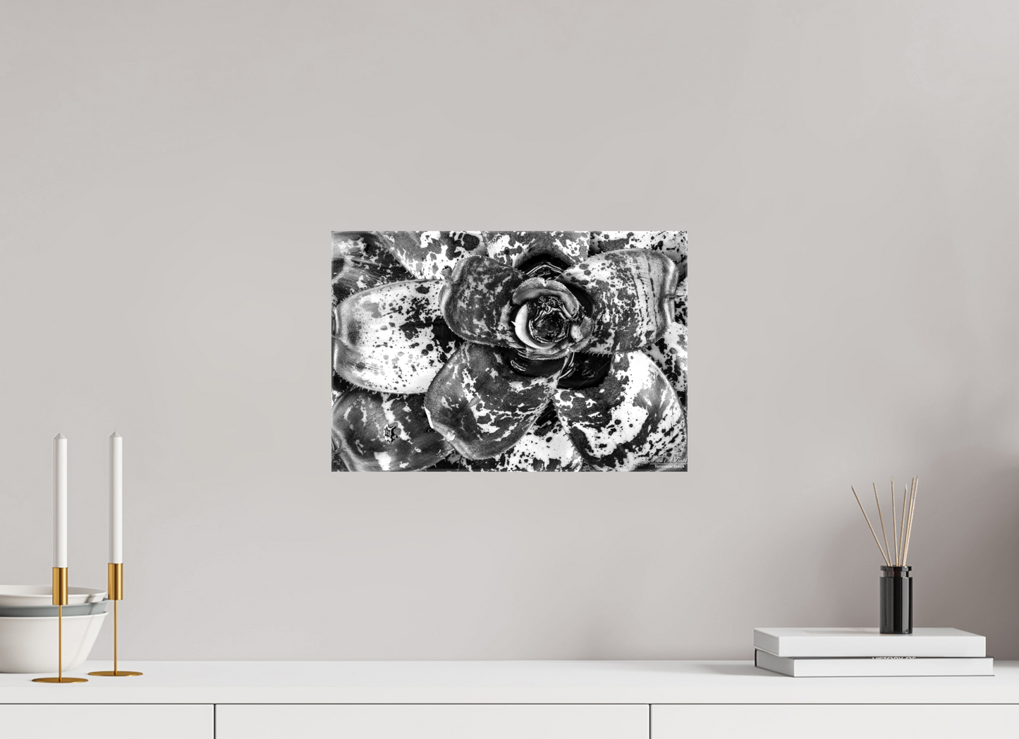 (07C) BnW Plant
