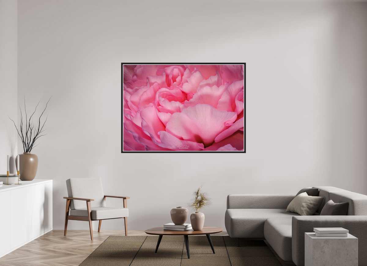 65.8 x 47″, Black Matte Floater Frame with Acrylic Glass Radiant Pink Petals