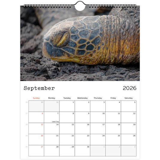 d92d3705-0827-42fb-ba69-b5775e844ee0