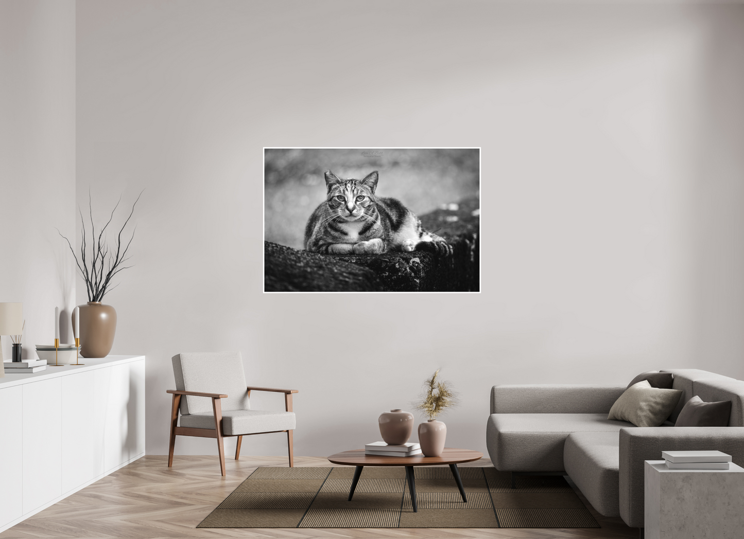 60 x 40″, Photo Print with Matte Lamination (08G) Hawaii Strays in BnW