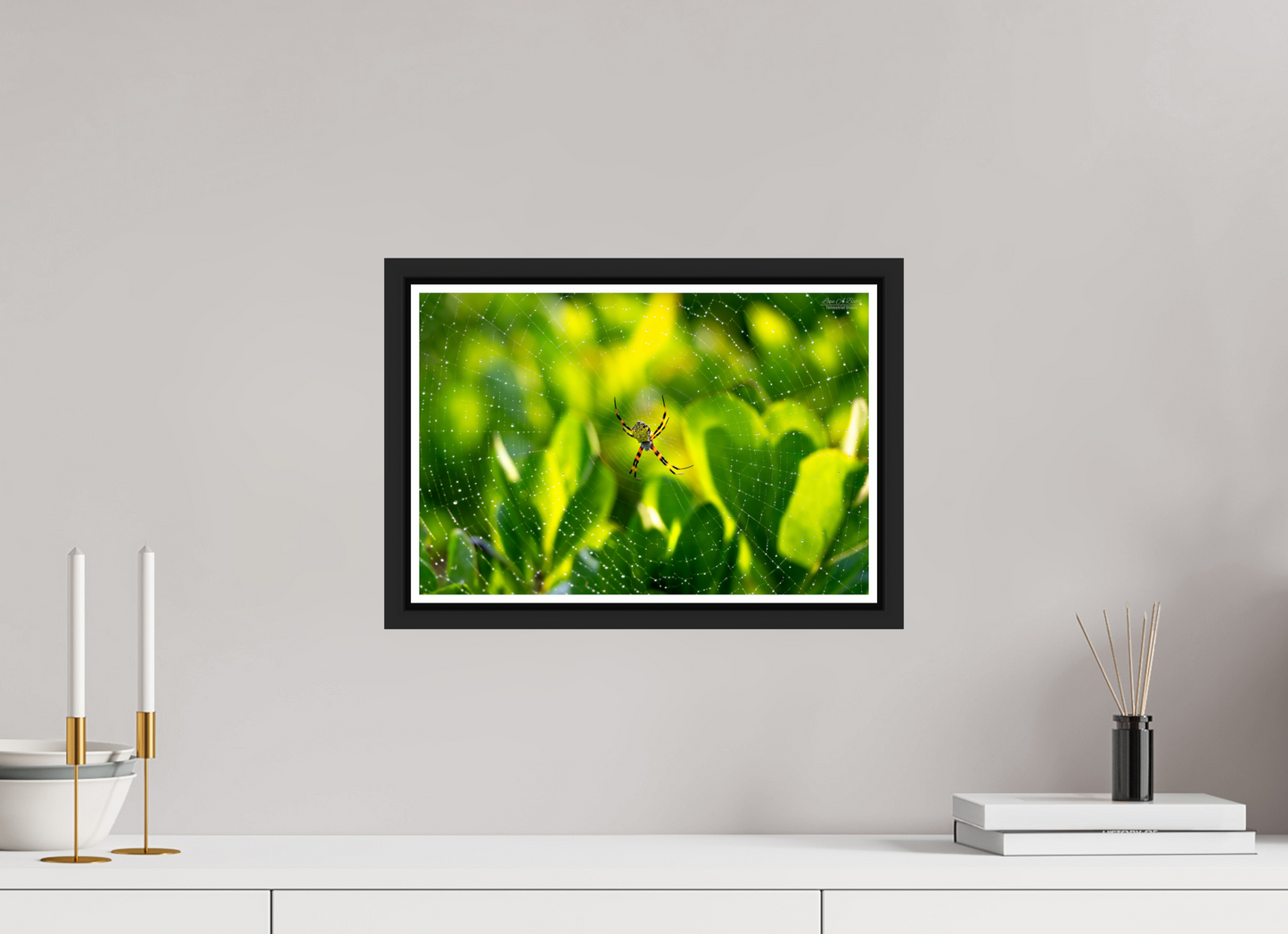15 x 10″, Black Matte Floater Frame with Acrylic Glass (09C) Hawaiian Garden Spider