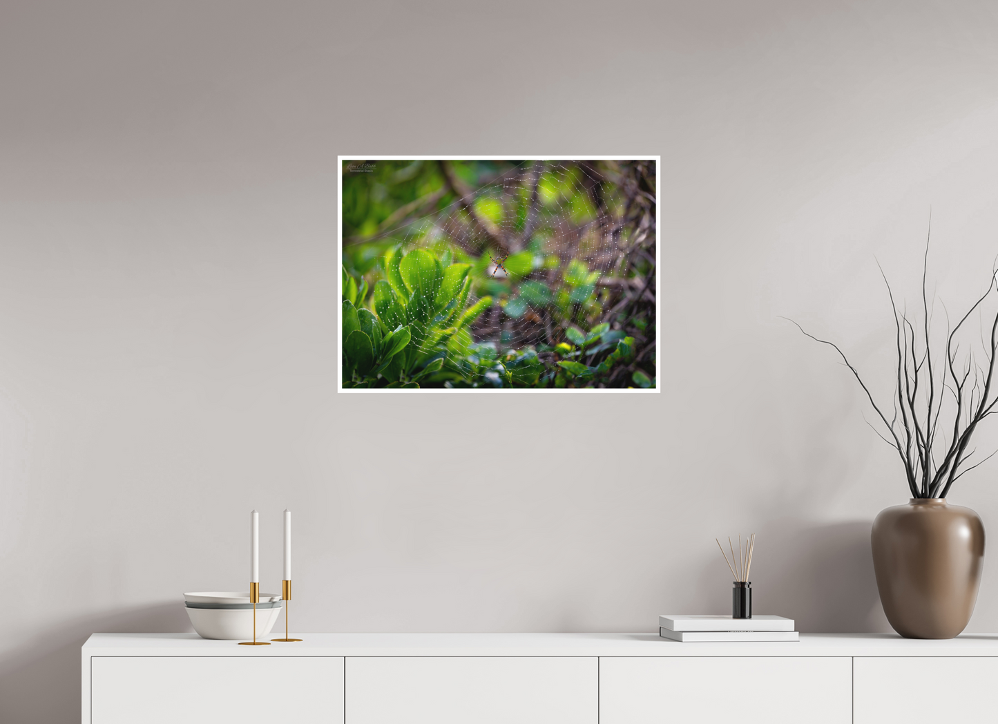 27.5 x 20″, Print with Matte Lamination Hawaiian Garden Spider Web