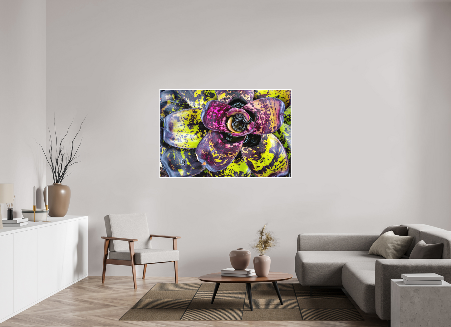 60 x 40″, Photo Print with Matte Lamination (07B) Colorful Plant