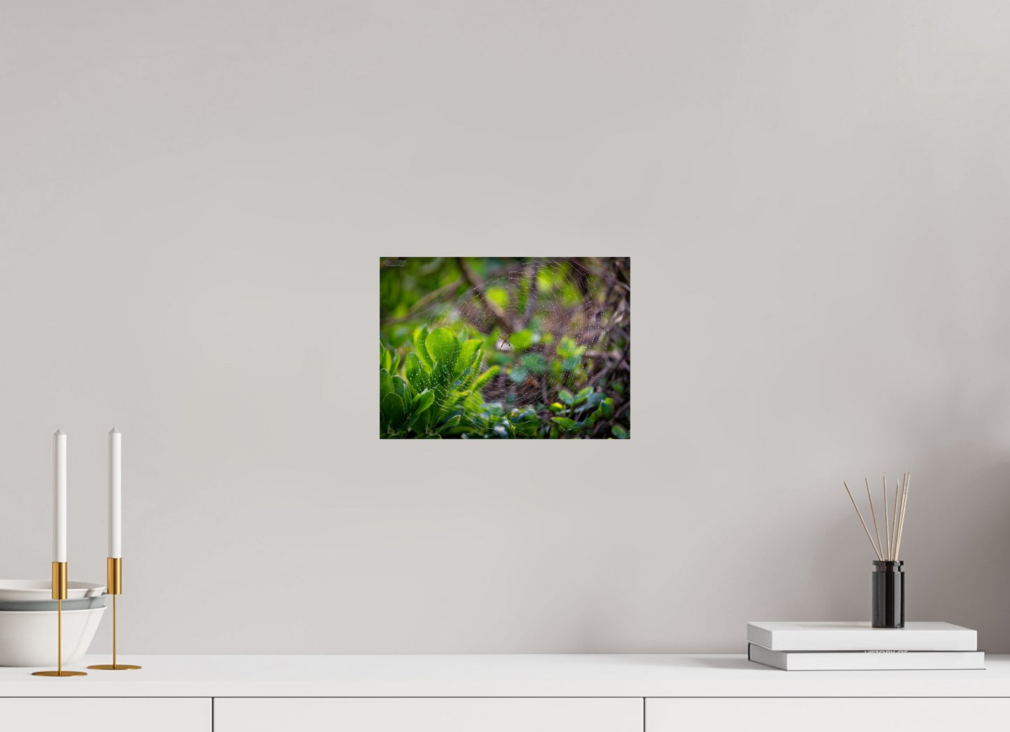 11 x 8″, Photo Print Under Acrylic Glass Hawaiian Garden Spider Web