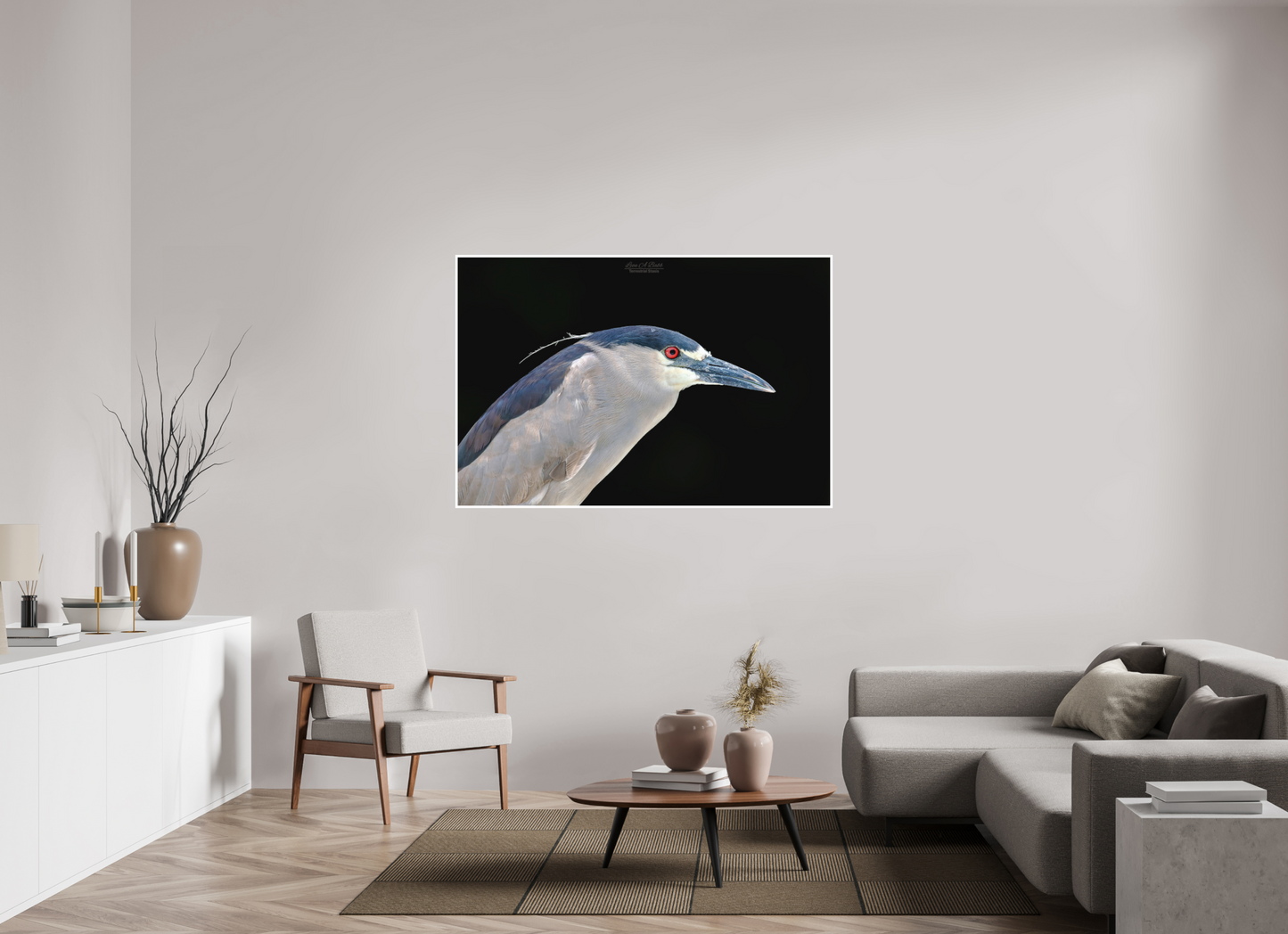 60 x 40″, Photo Print with Matte Lamination (08B) Black-crowned Night Heron
