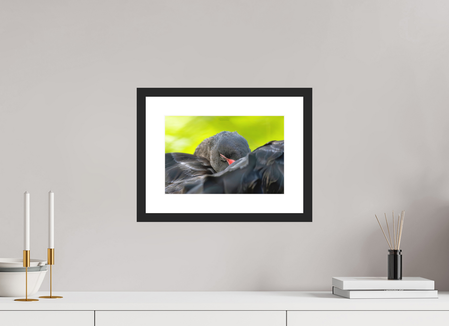 12 x 8″, Standard Black Matte Wood Frame (08A) Feathered Slumber