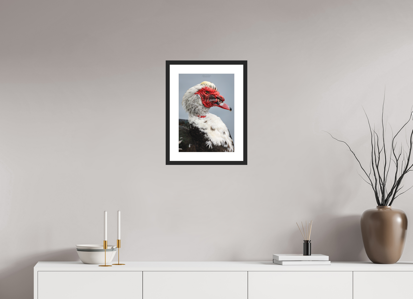 12 x 16.8″, Classic Black Matte Wood Frame (08S) Male Muscovy Duck Portrait