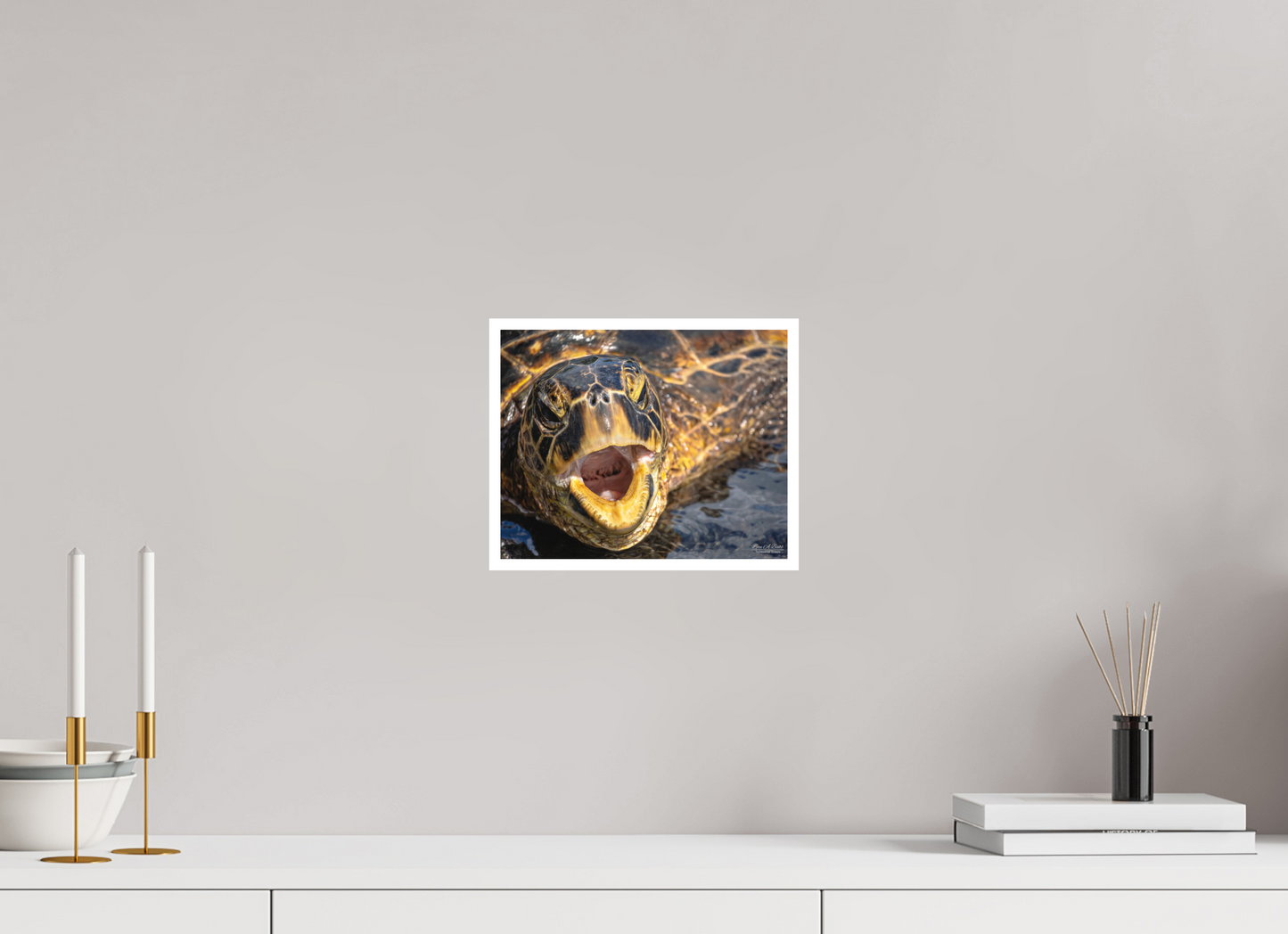 10 x 8″, Print with Matte Lamination (000) Honu’s Serenade