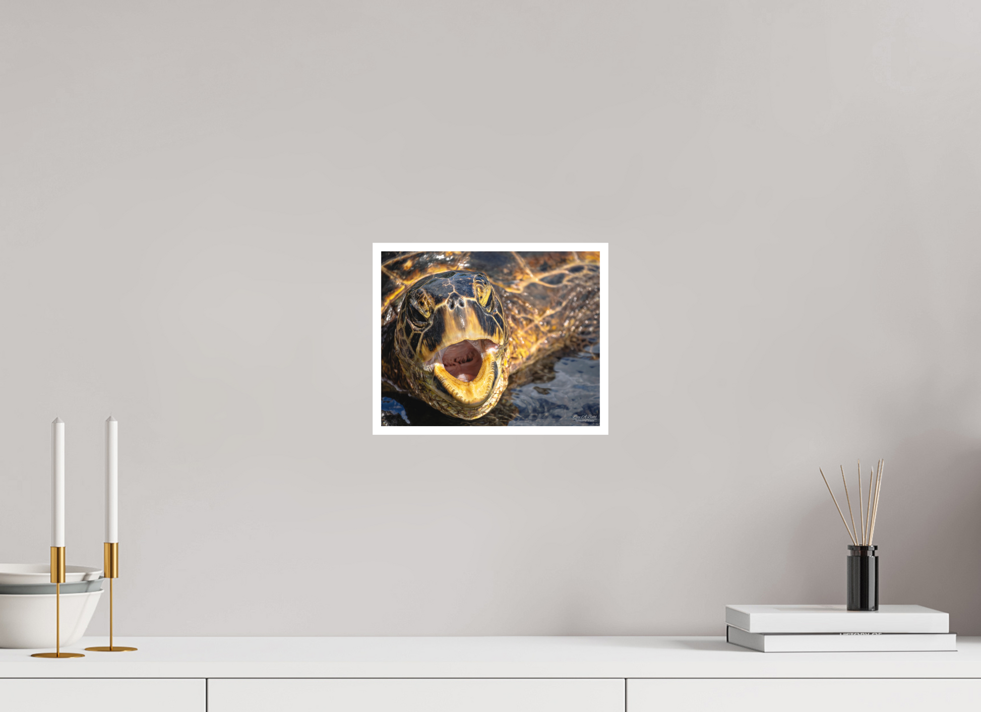 10 x 8″, Print with Matte Lamination (000) Honu’s Serenade