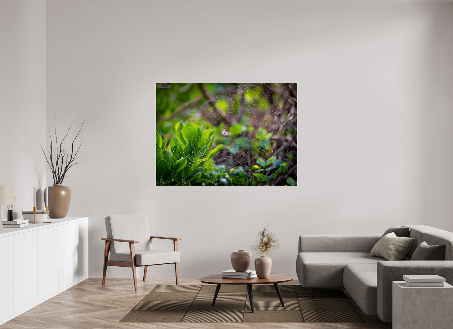 64.5 x 47″, Photo Print Under Acrylic Glass Hawaiian Garden Spider Web