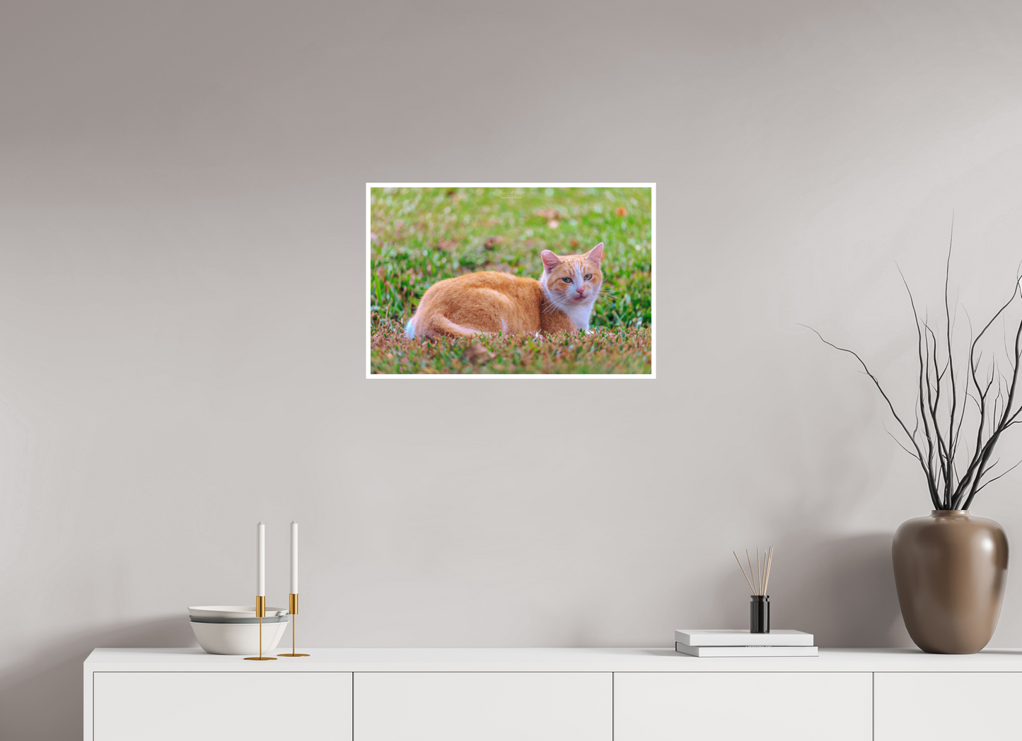 24 x 16″, Photo Print with Matte Lamination (08H) Hawaii Strays in Color