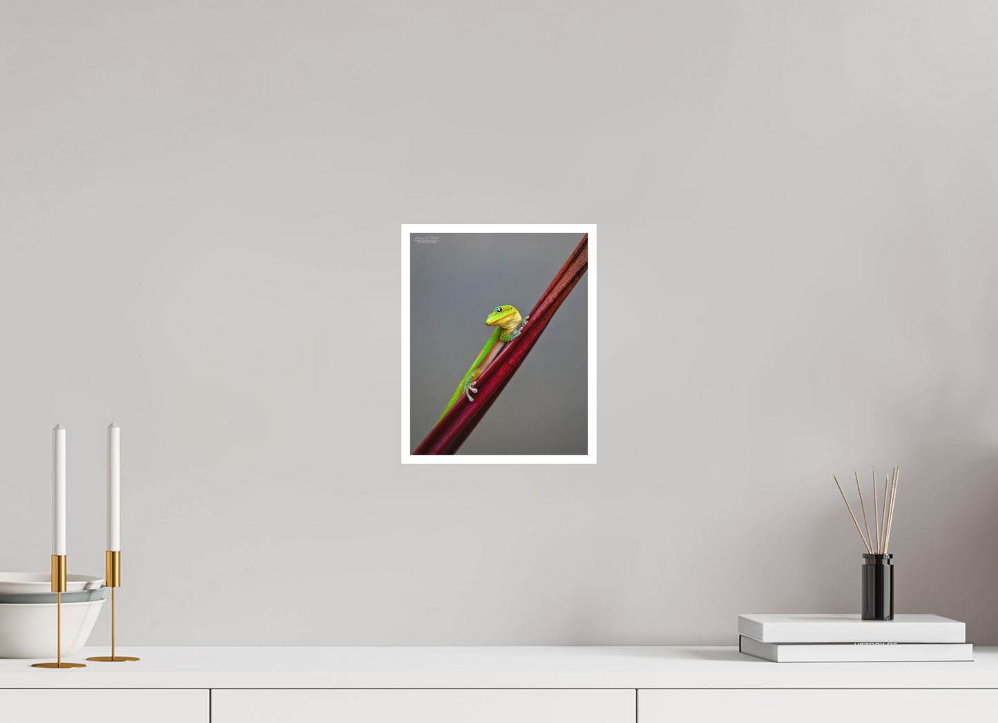 8 x 10″, Print with Matte Lamination (08R) Focused Stare