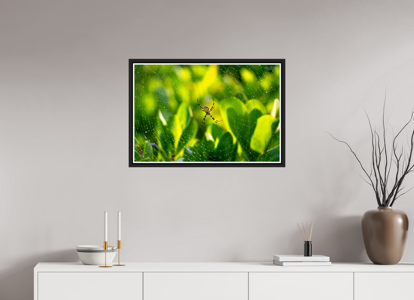 30 x 20″, Black Matte Floater Frame with Acrylic Glass (09C) Hawaiian Garden Spider