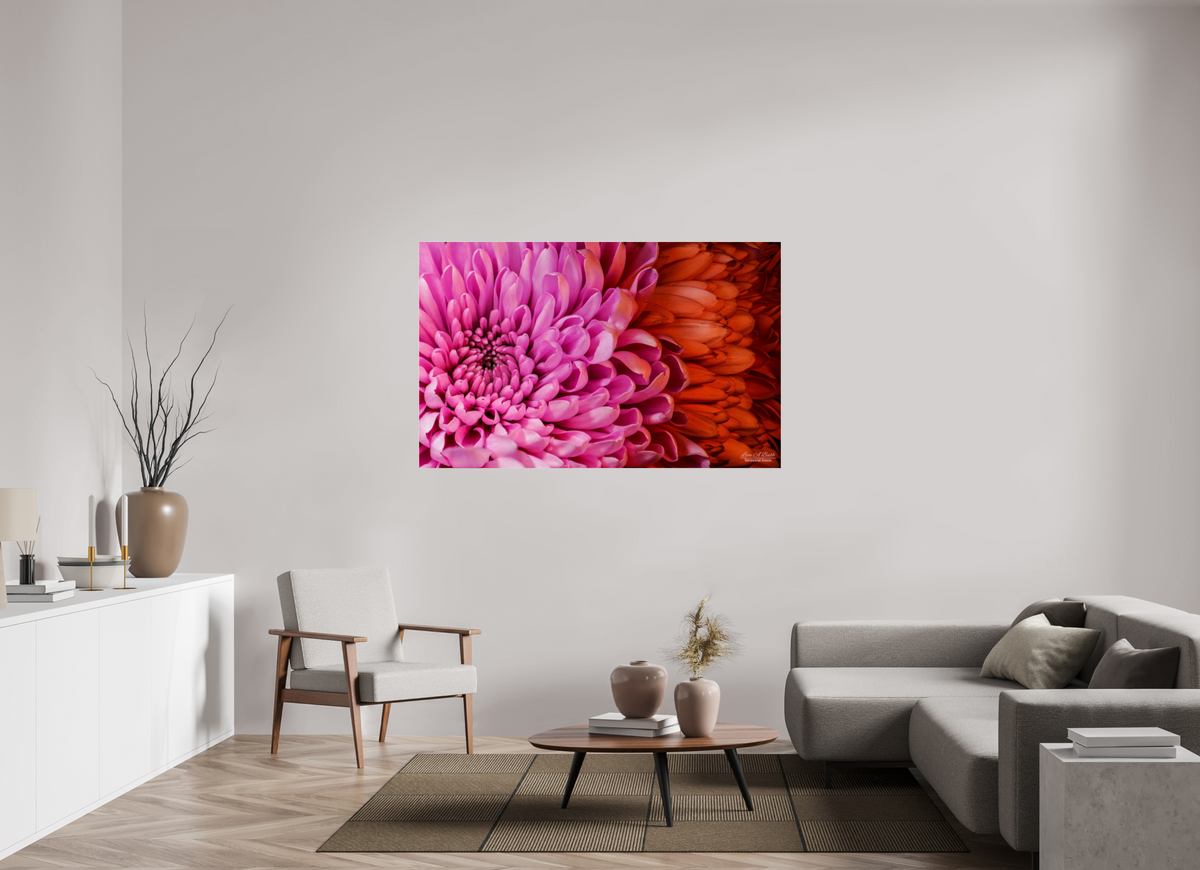 62.4 x 39″, Photo Print Under Acrylic Glass ??
