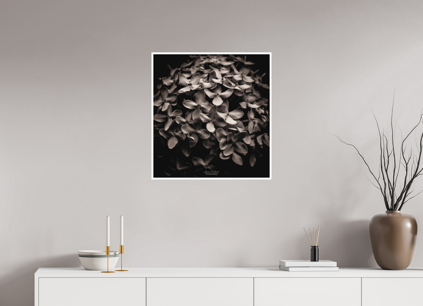 24 x 25.6″, Photo Print with Matte Lamination (07D) Monochrome Garden