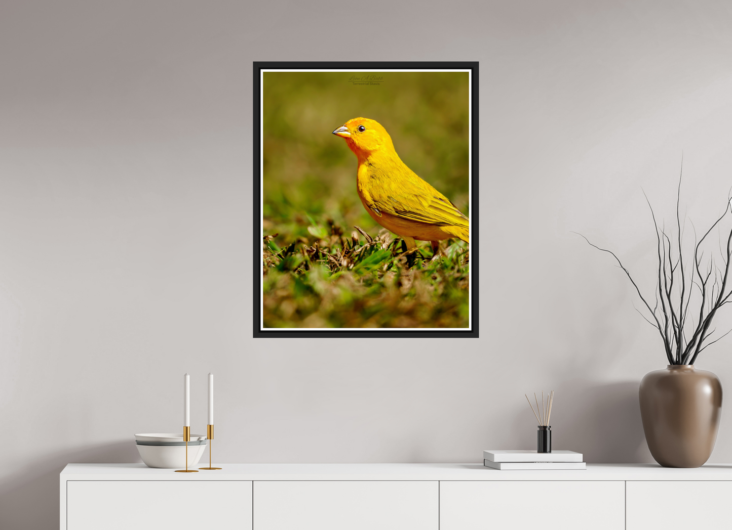 24 x 30″, Black Matte Floater Frame with Acrylic Glass (08E) Halcyon