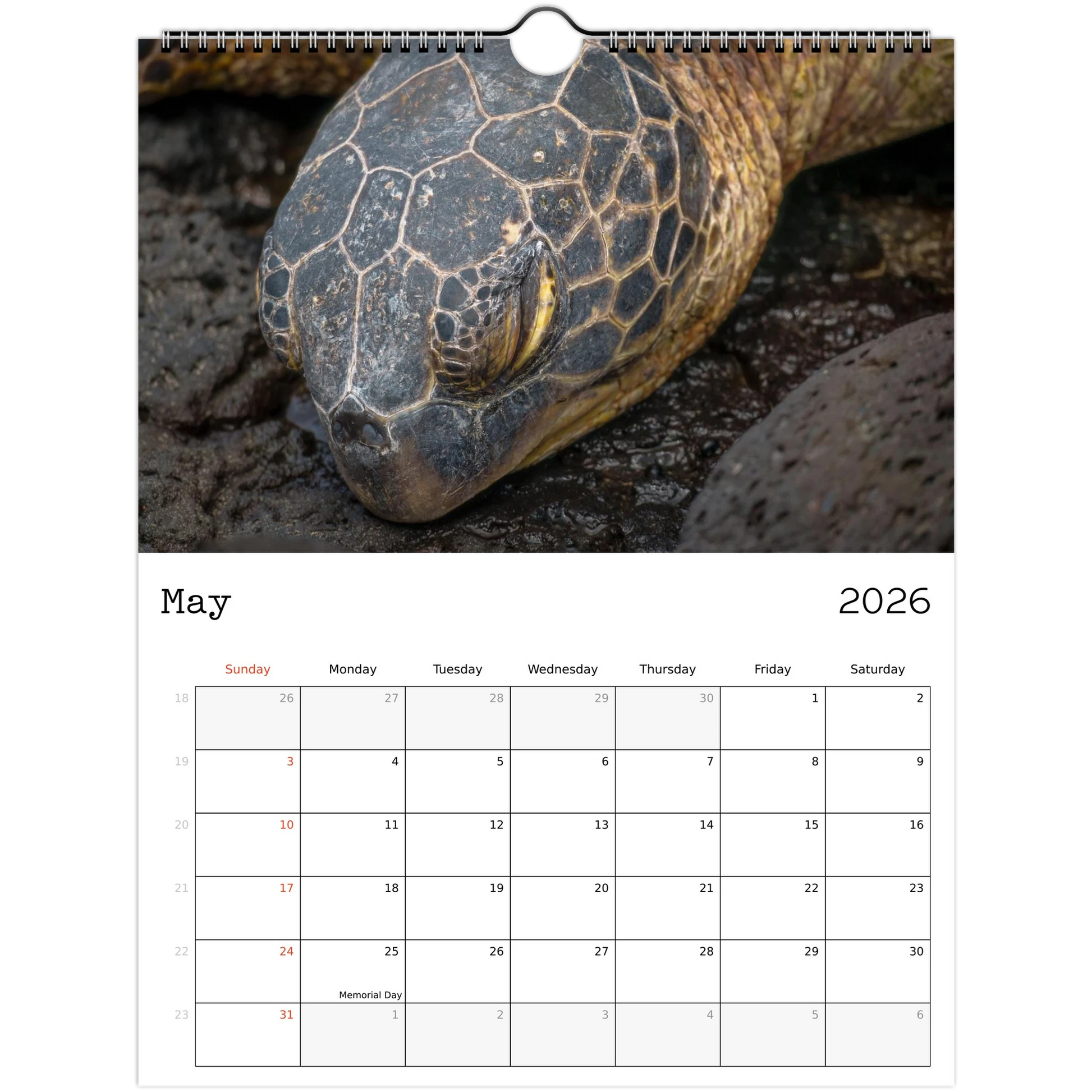 0e6caf9e-f7cc-4467-a3c4-98823219e6bb