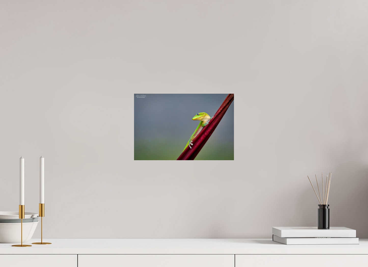 12 x 8″, Print with Aluminum Backing and Glossy Lamination (08Q) Quiet Gaze