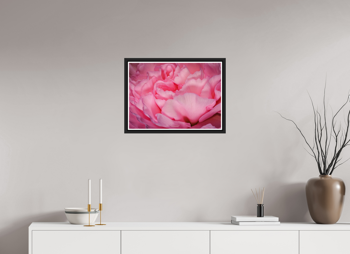 22.4 x 16″, Black Matte Floater Frame with Acrylic Glass Radiant Pink Petals