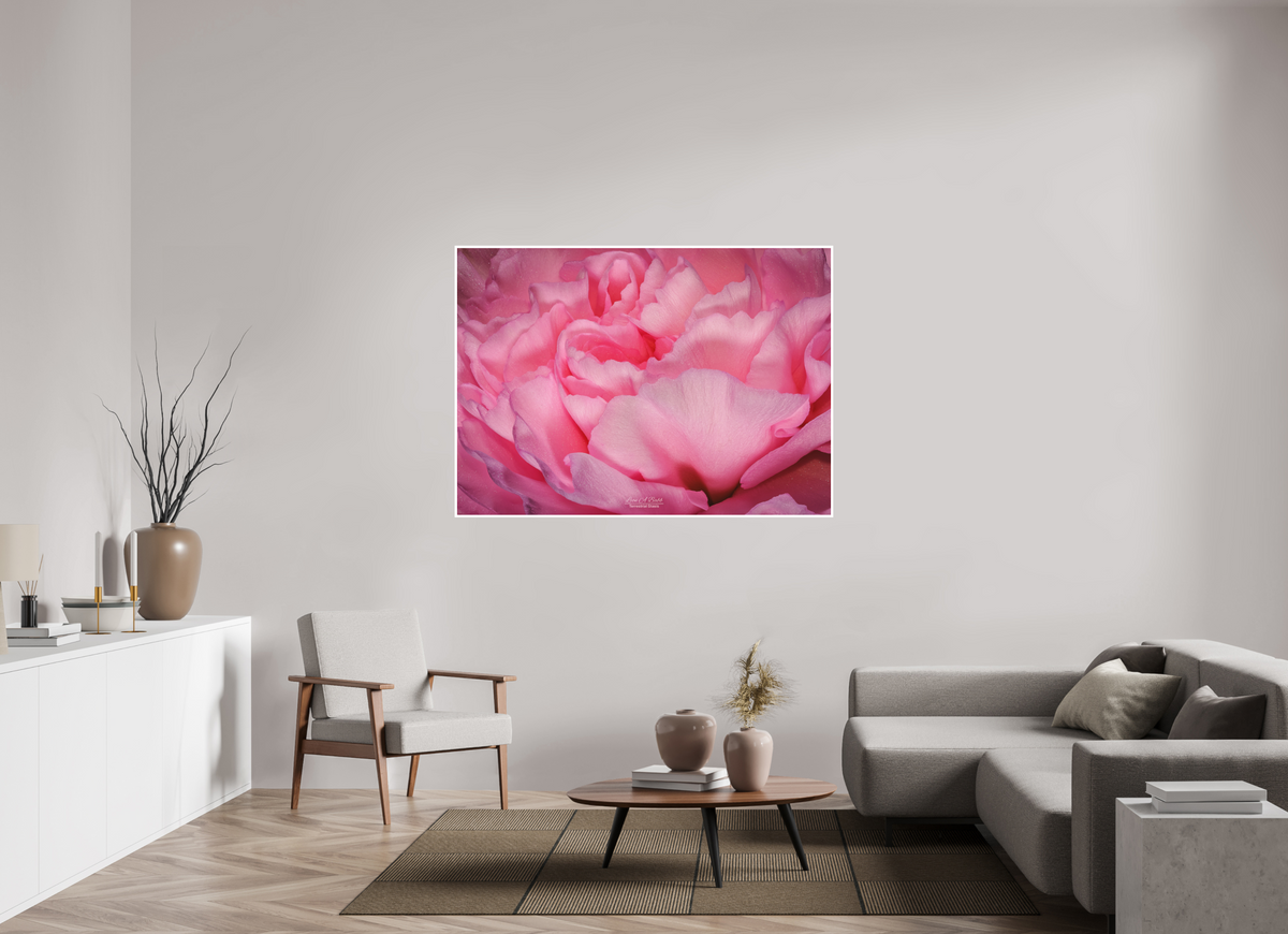 60.2 x 43″, Print with Matte Lamination Radiant Pink Petals