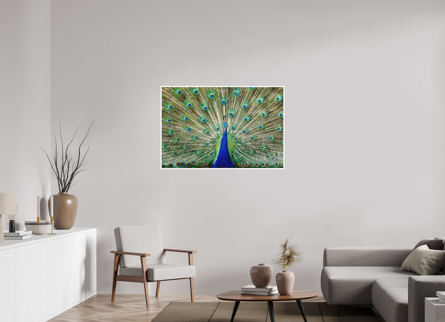 45 x 30″, Photo Print with Matte Lamination (08C) Peacock Display