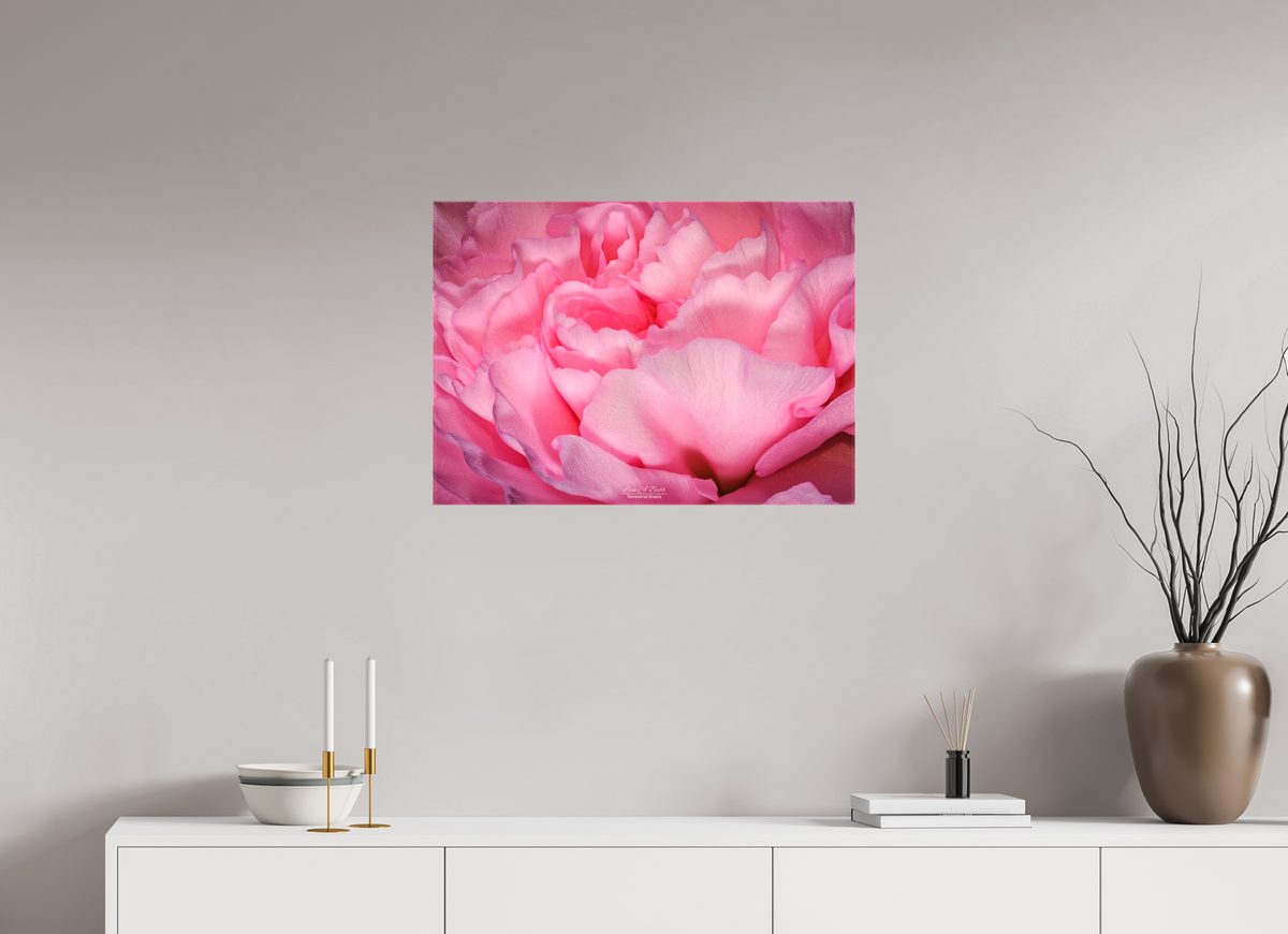 28 x 20″, Glossy Canvas Stretcher Frame with Mirrored Edges Radiant Pink Petals