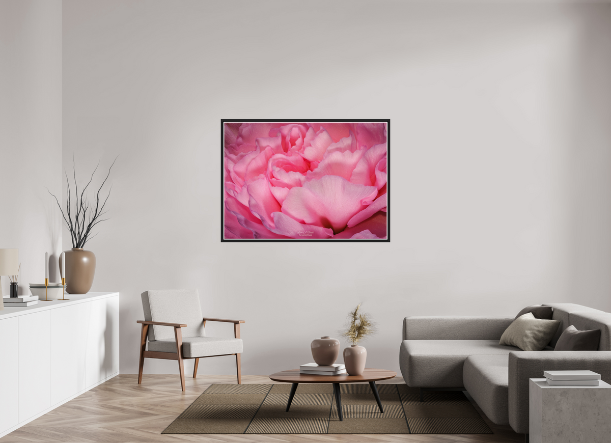 54.6 x 39″, Black Matte Floater Frame with Acrylic Glass Radiant Pink Petals