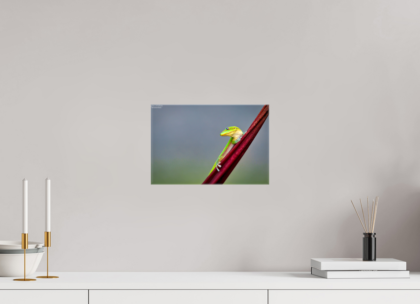 12 x 8″, Glossy Canvas Stretcher Frame with Mirrored Edges (08Q) Quiet Gaze