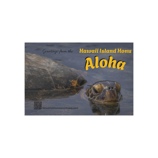 (01B) Postcard (1) - Hawaii Island Honu