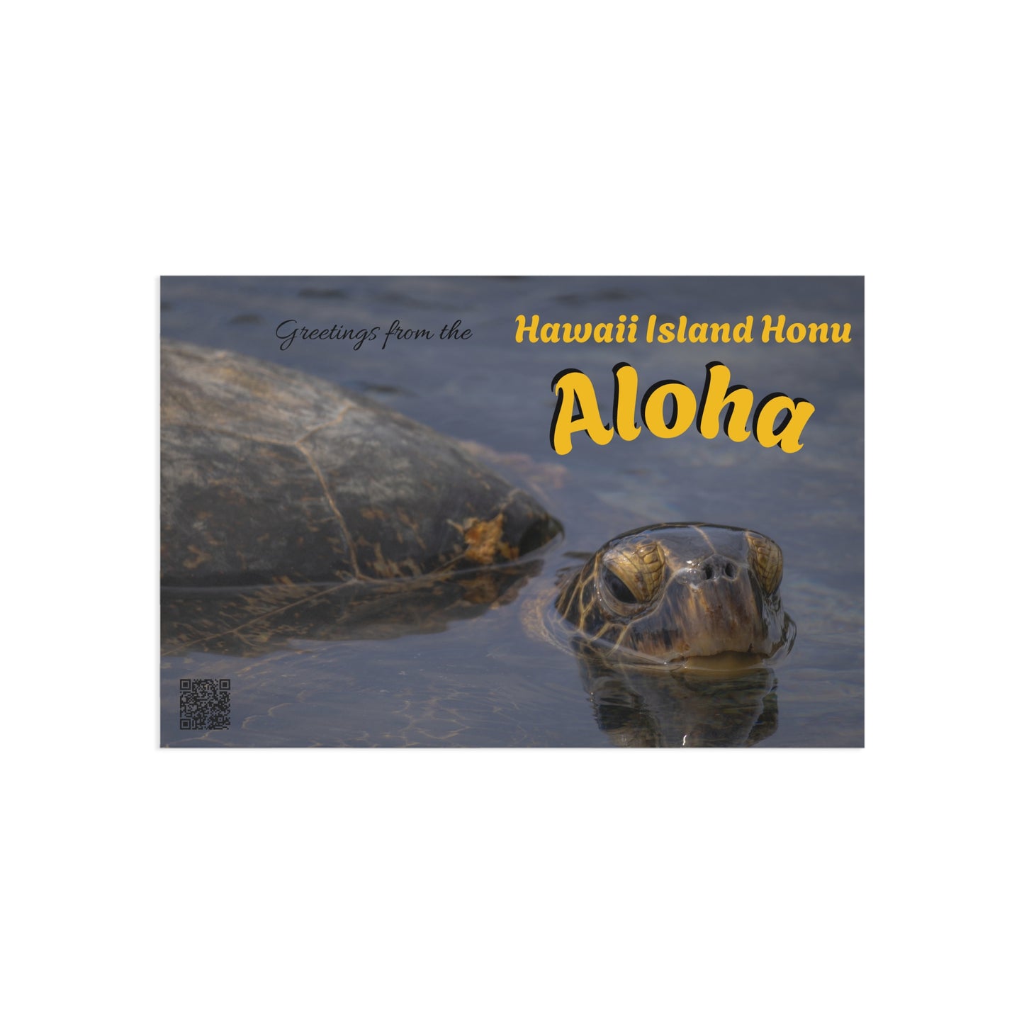 (01B) Postcard (1) - Hawaii Island Honu