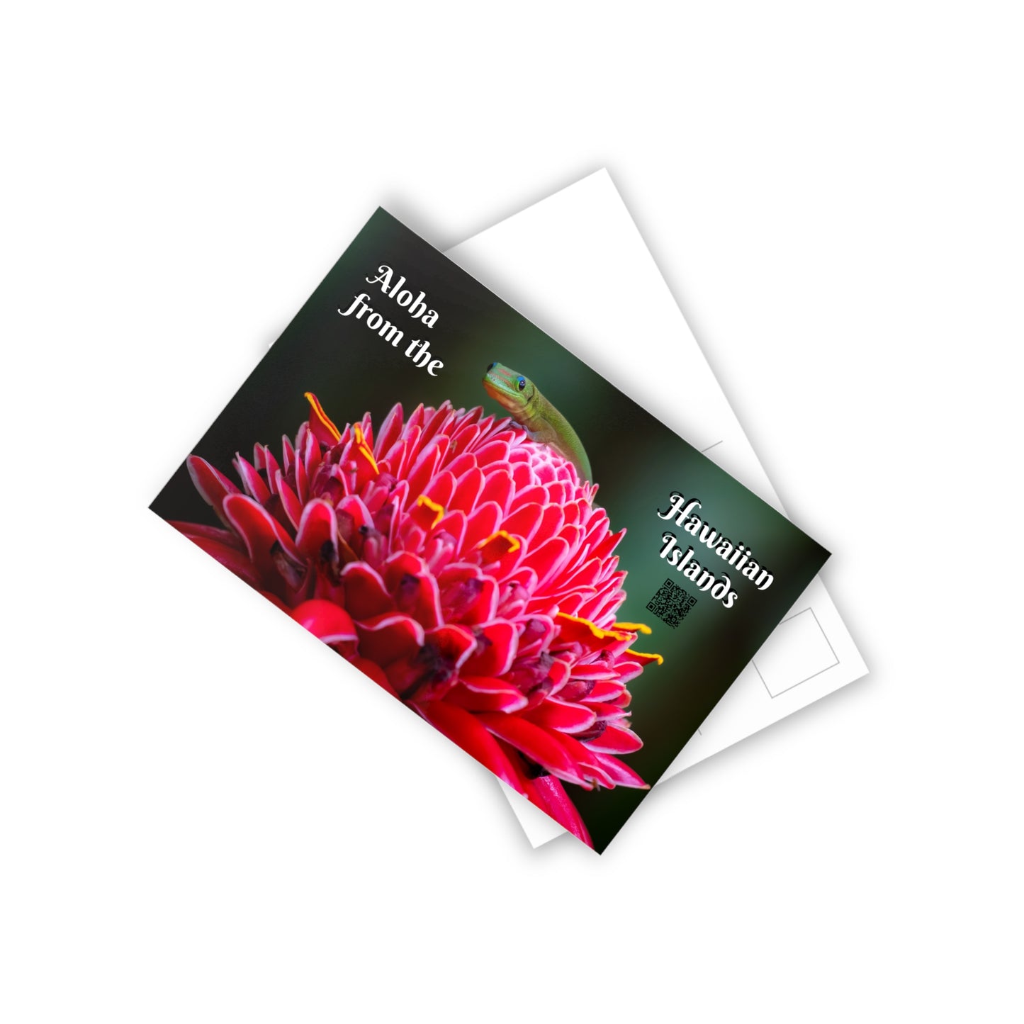 (02C) Postcard Set (10) - Hawaii Island Gecko