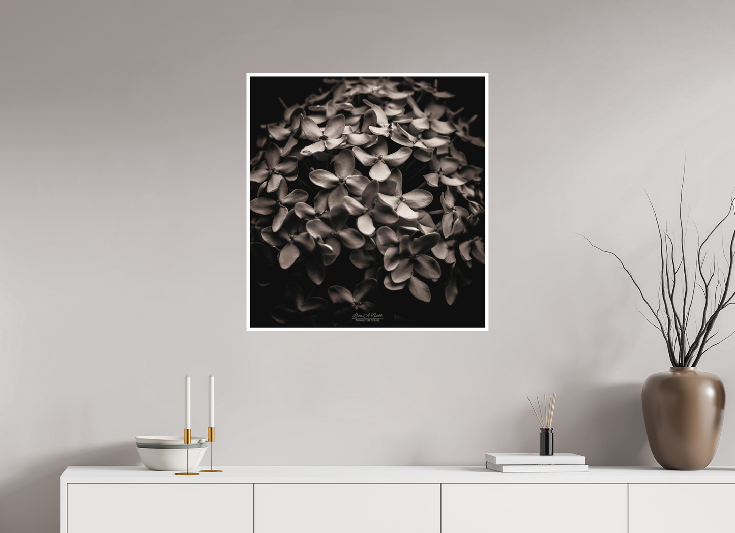 28 x 29.8″, Photo Print with Matte Lamination (07D) Monochrome Garden