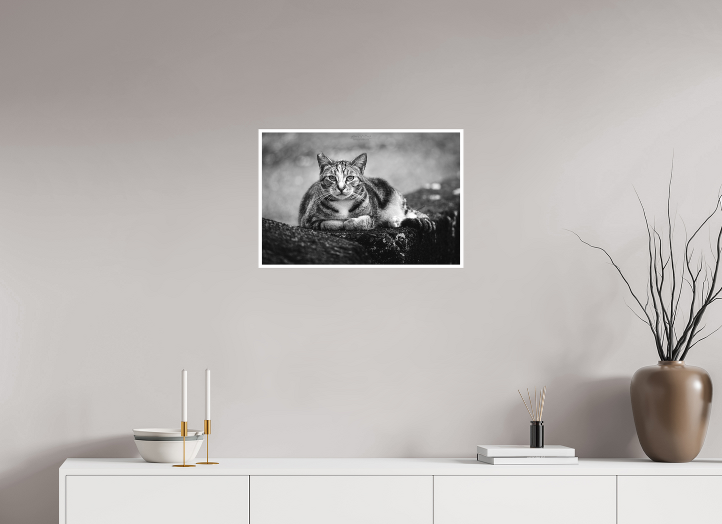 24 x 16″, Photo Print with Matte Lamination (08G) Hawaii Strays in BnW