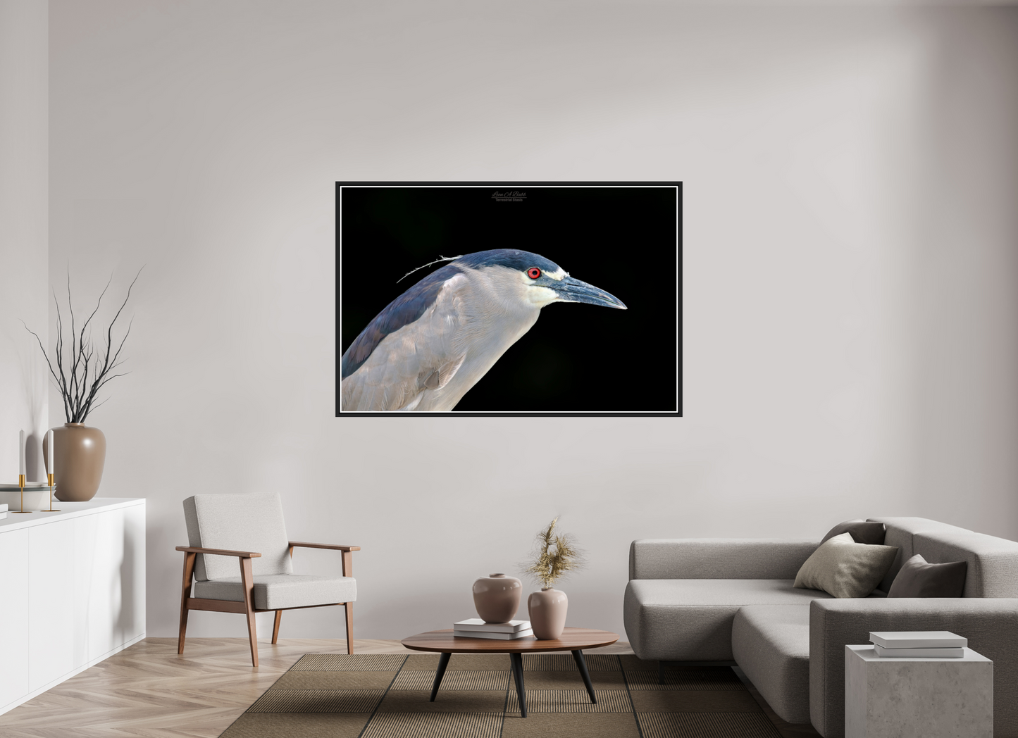 66 x 44″, Black Matte Floater Frame with Acrylic Glass (08B) Black-crowned Night Heron