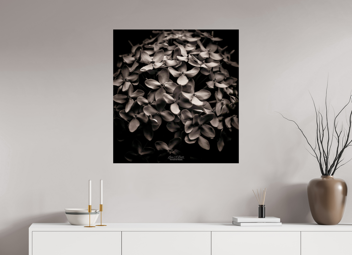 (07D) Monochrome Garden