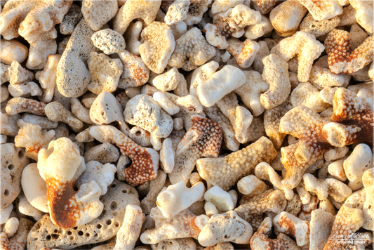 (06A) South Point Beach