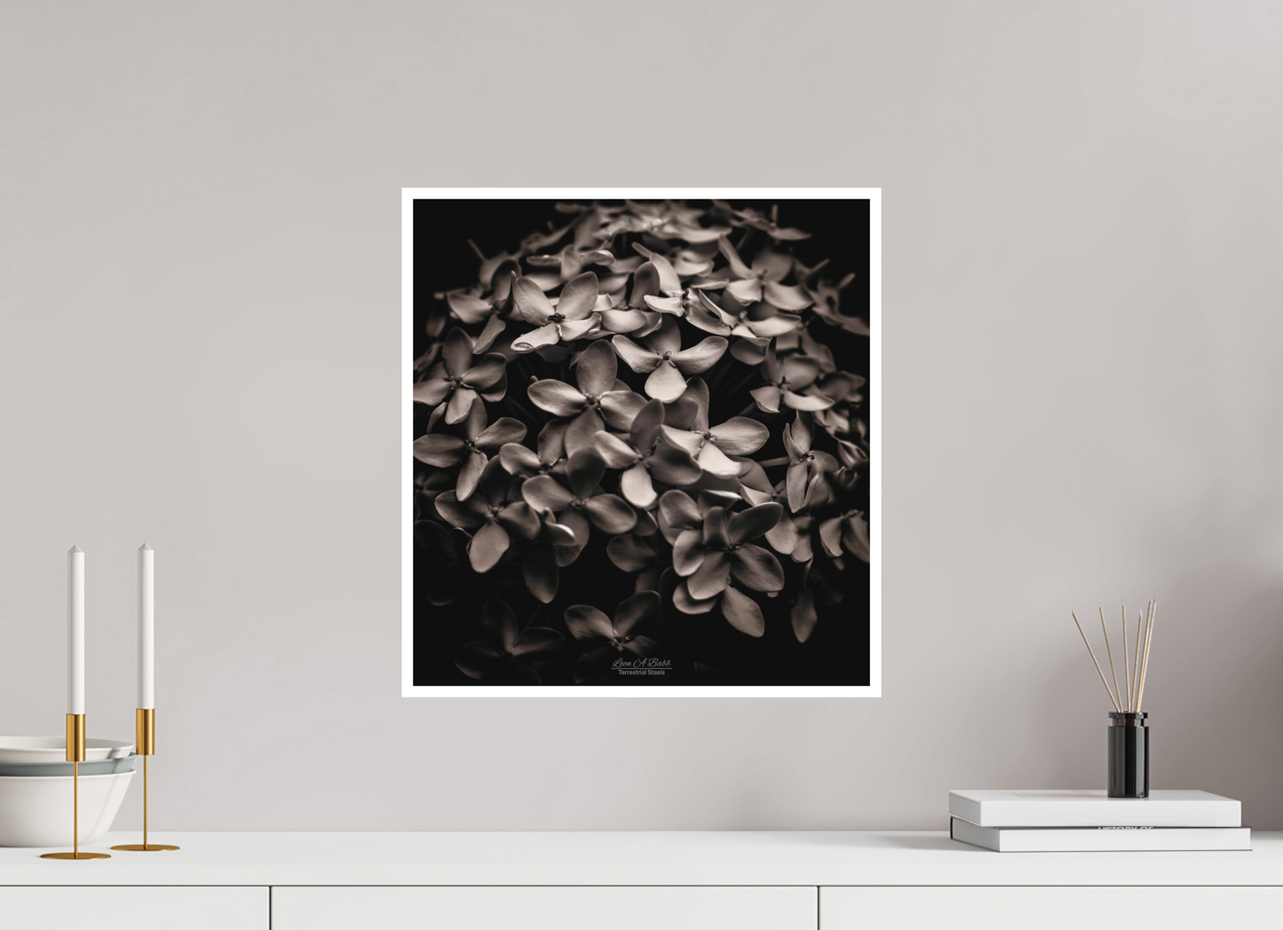 16 x 17″, Photo Print with Matte Lamination (07D) Monochrome Garden
