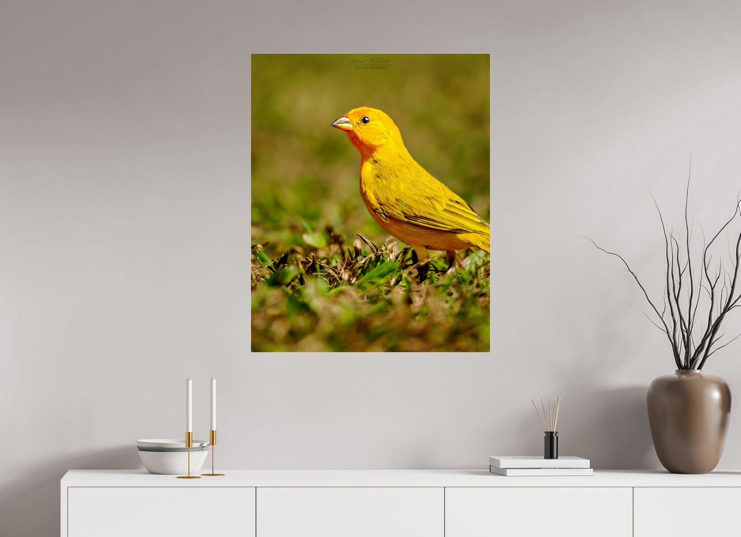 28 x 35″, Photo Print Under Acrylic Glass (08E) Radiant Stillness