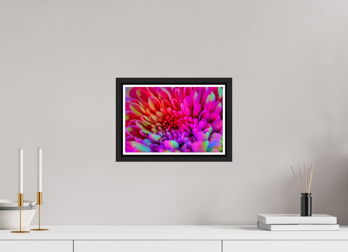 12 x 8″, Black Matte Floater Frame with Acrylic Glass ????