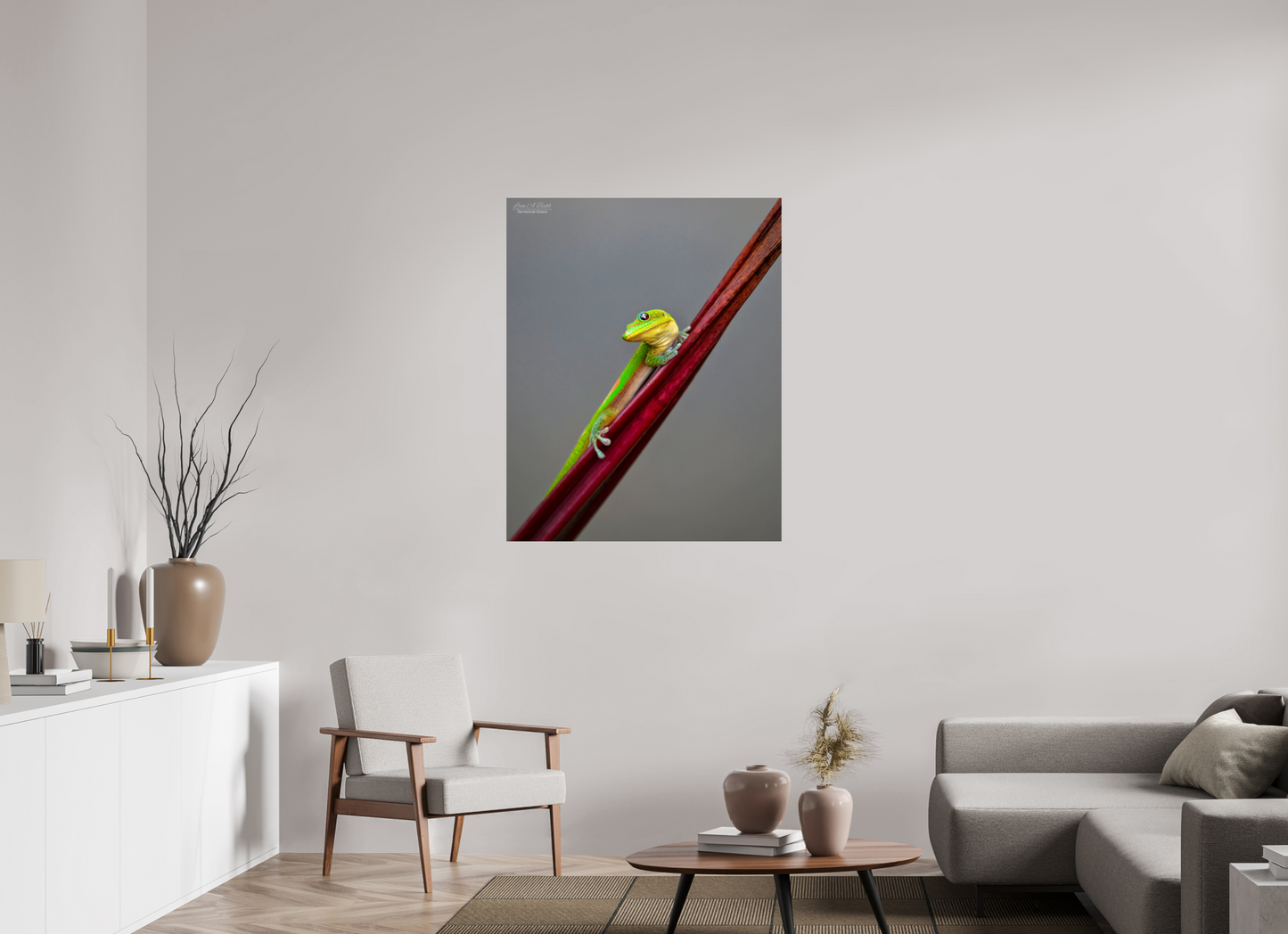 35 x 43.7″, Print with Aluminum Backing and Glossy Lamination (08R) Focused Stare