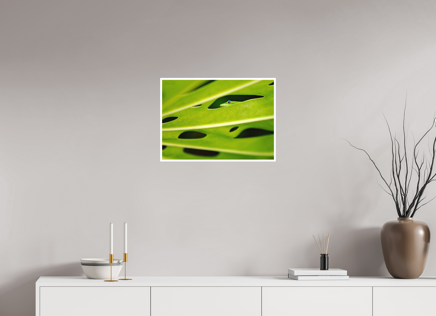 22.4 x 16″, Photo Print with Matte Lamination (08E) Hidden Gecko