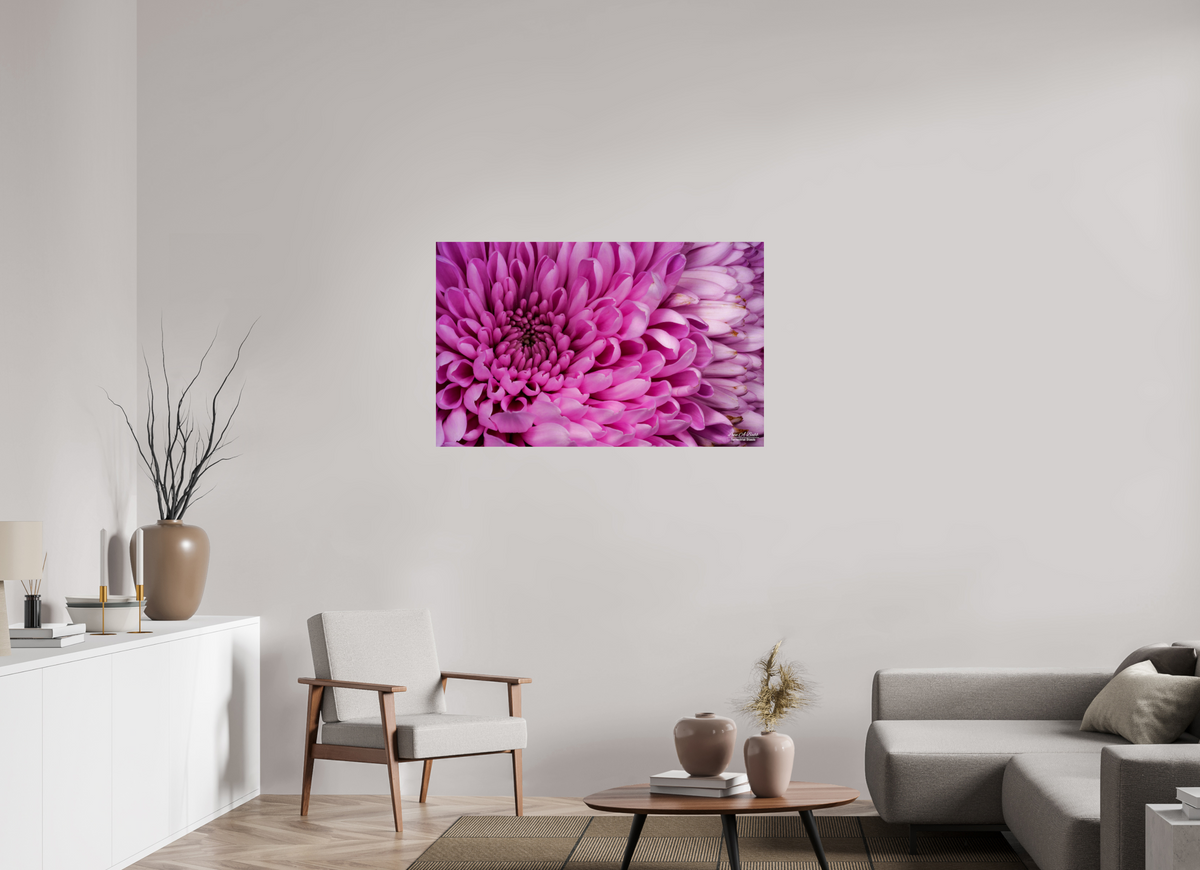 44.8 x 28″, Print with Aluminum Backing and Glossy Lamination ???