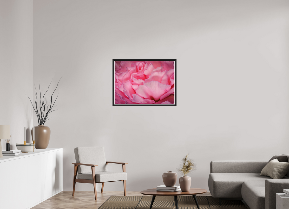 33.6 x 24″, Black Matte Floater Frame with Acrylic Glass Radiant Pink Petals